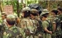 Colombie: les FARC dans un gouvernement de gauche