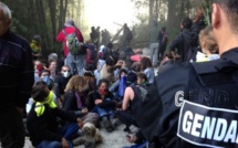 Ségolène Royale prévoit un compromis à Sivens