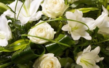 Enquête sur la mort de Rémi Fraisse