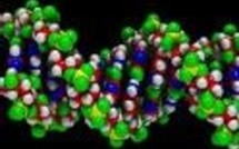 ADN et Immigration: Fadela heurtée ne démissionne pas!
