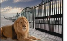 API CONTROL, un automaticien FAAC à la foire internationale de Marseille