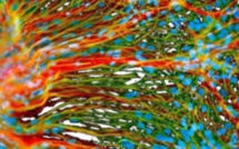 Cancer: la faute à pas de chance?