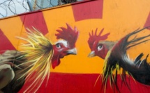 BCE: assouplissement quantitatif et déflation