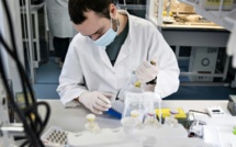 Le BA.2.86 et l'Eris : De Nouveaux Visages du Covid-19 Menacent de Bouleverser l'Équilibre Sanitaire