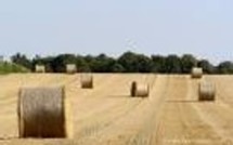 Environnement: les déchets de panification reconvertis en hydrogène