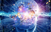 Tout savoir sur le cerveau du 16 au 22 mars 2015