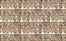 Crash de l'A 320, le low cost en question