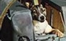 EditoWeb: bloc notes des news politiques du jour