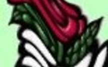 Le scoop politique: La gauche va proposer des alternatives à la politique de Sarko