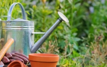 Le désherbant phare de Monsanto bientôt absent des jardineries