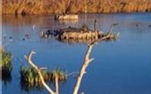 Le littoral français menacé par la hausse des océans