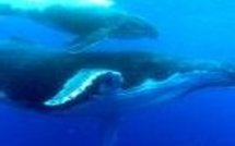 La Russie 'prête à aider' la Libye à accéder au nucléaire civil