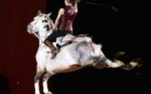 Hôtel Régina Avignon: Promo hégergement spécial Festival équestre 'Cheval Passion'