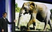 Matsushita s'associe à Google pour faire passer YouTube à la télévision