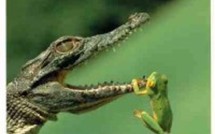 Modernisation du monde du travail en France: points de vue