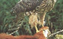 Point d'actu politique: les pièces d'un euro trop lourdes pour Giscard et autres brèves