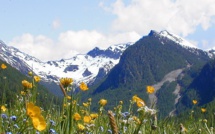 Ruralités: 21 mesures qui ne convaincront pas