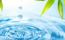 Le financement participatif en plein essor