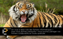 Cloud ? Vous avez dit Cloud ?