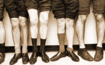 Implant de cartilages du genou