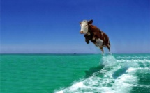 Le canular de l'instituteur d'Aubervilliers inexplicable