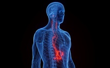 Pourquoi tout le monde parle du Nerf Vague ? Le Secret Santé oublié