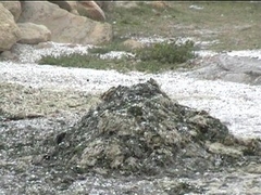 ranquet plage etang de berre.jpg ranquet plage etang de berre.jpg