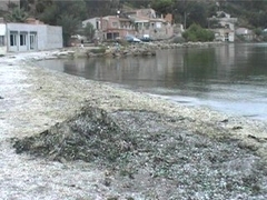 ranquet plage etang de berre 2.jpg ranquet plage etang de berre 2.jpg