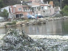 ranquet plage etang de berre 3.jpg ranquet plage etang de berre 3.jpg