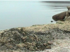 ranquet plage etang de berre 6.jpg ranquet plage etang de berre 6.jpg