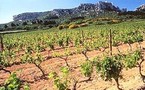 Aix-en-Provence: Bacchus et les grands vins de France