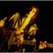 remi guitarist