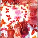 parfums reflet dans miroirs