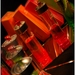 parfums reflet dans miroirs