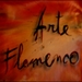 ARTE FLAMENCO.jpg ARTE FLAMENCO.jpg