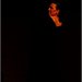 DSC_0140 copier.jpg