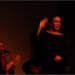DSC_0154 copier.jpg