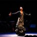 Le Flamenco Le Flamenco