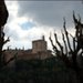 DSC_0235 copier.jpg