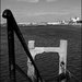 DSC_0037 copier.jpg DSC_0037 copier.jpg