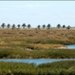 DSC_0052 copier.jpg