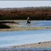 DSC_0059 copier.jpg