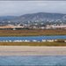 DSC_0063 copier.jpg
