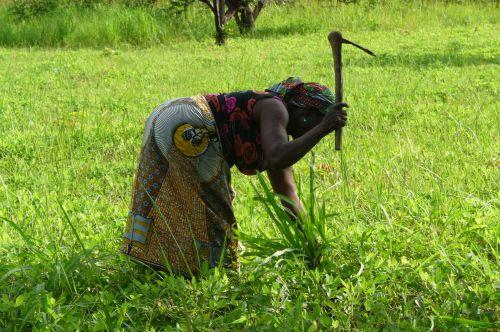 SENEGAL-AGRICULTURE-ENVIRONNEMENT