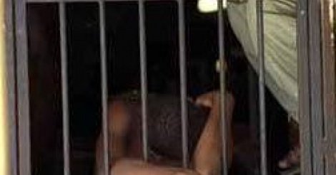 Sedhiou: 3 detenus s’evadent de la prison, à 3 heures du matin
