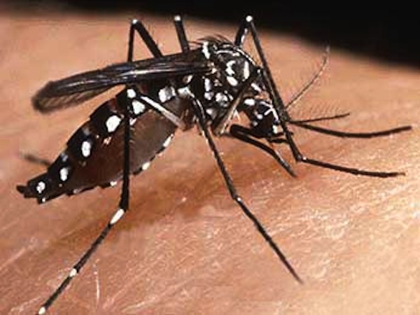 « L’épidémie de Dengue est maîtrisée »