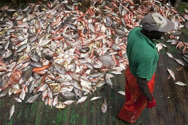 SENEGAL-MONDE-PECHE-GOUVERNANCE Ressources halieutiques : la conférence de Bali ouvre "une nouvelle ère" de transparence (communiqué) 