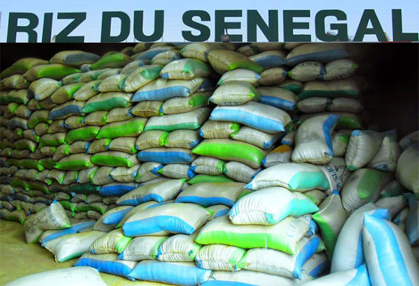 SENEGAL-AGRICULTURE