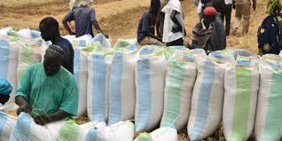 SENEGAL-AGRICULTURE-COMMERCE -L’autosuffisance en riz pourrait diminuer de 5 % la balance commerciale (officiel) 