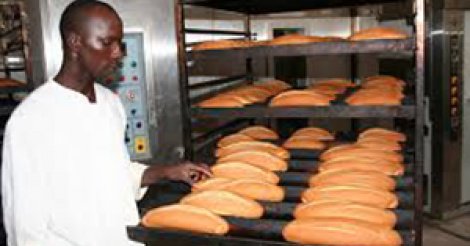 Sénégal-Boulangerie : un chiffre d'affaires de plus de 200 milliards Fcfa
